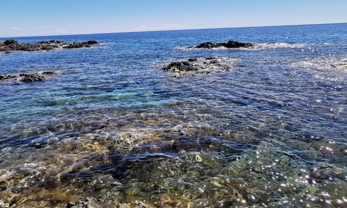 Tarcu Villa | Pieds Dans L'eau Villa "crique aux Tortues"