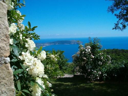 Marina di Pisciotta Apartment | Pietra Fiorita