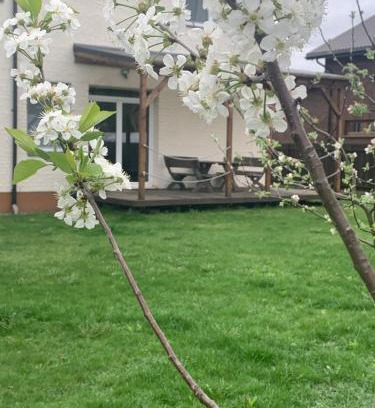 Zujunai Apartment | Pilaites svetingi namai