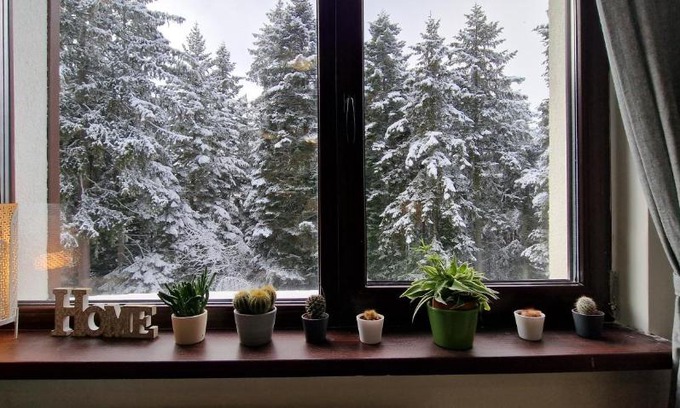 Borovets Apartment | Pine Tree Apartment/Borovets Gardens