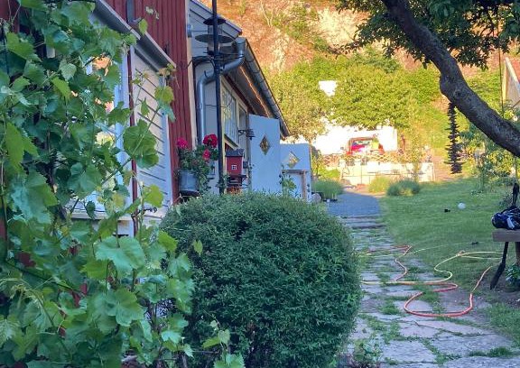 Granna House | Pinglans bakficka