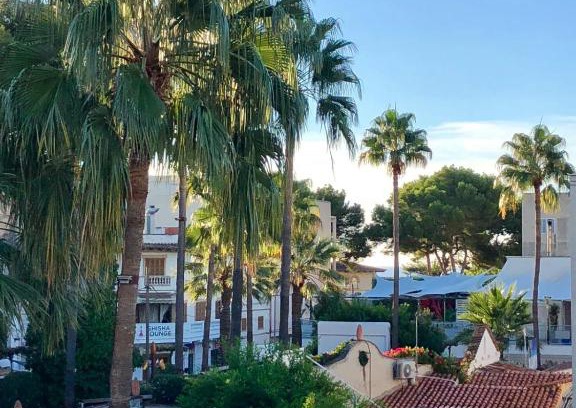 Cala Ratjada Apartment | Pinien Platz