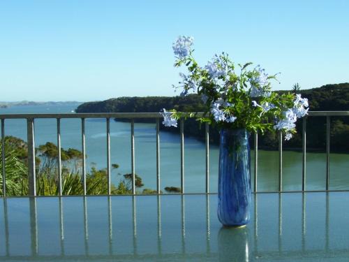 Okiato House | Pipiroa Bay Homestay