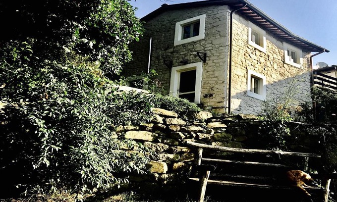 Starda Cabin | Pippo's Little Resort