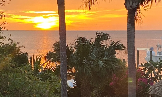 Gulf Harbors House | PIRATES PARADISE-Quiet Gulf Front Property near Clearwater/Tarpon Springs!