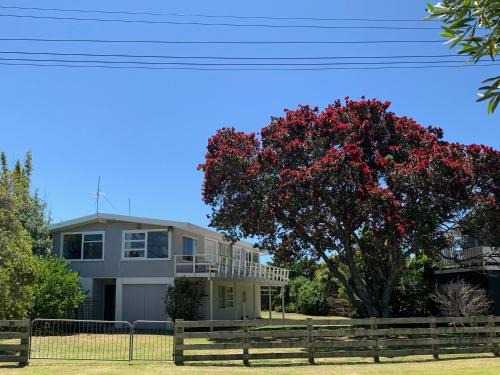Matapouri House | Playtime Plus - Matapouri Holiday Home