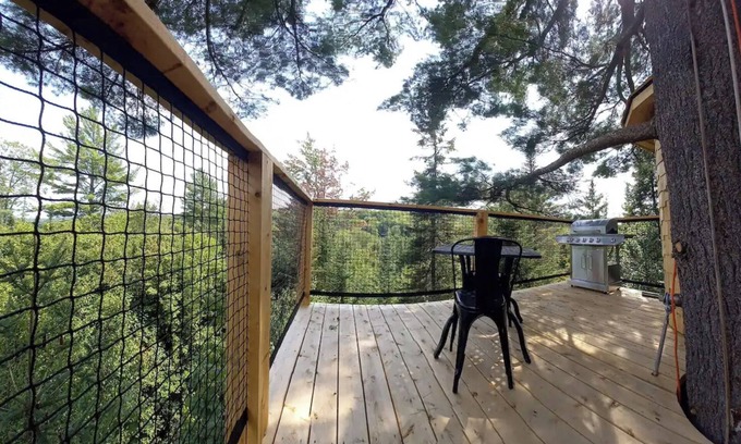 Harrington Cabin | Plus haute cabane dans les arbres en Amérique du Nord - Harrington, Canada