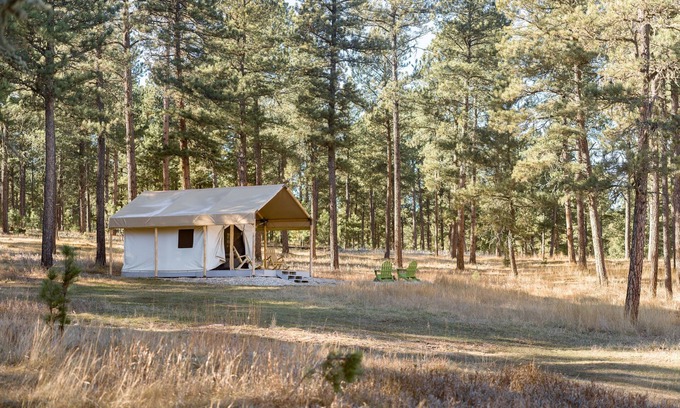 Custer House | Plush canvas tent in the forest
