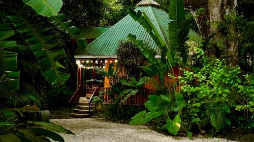 Mal Pais House | Pochote Jungle House