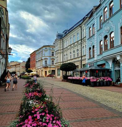 Tarnow Apartment | Pod Bimą