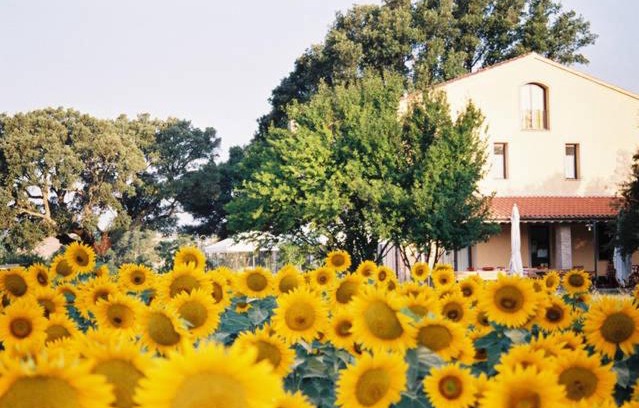 Roccastrada House | Podere Le Querce