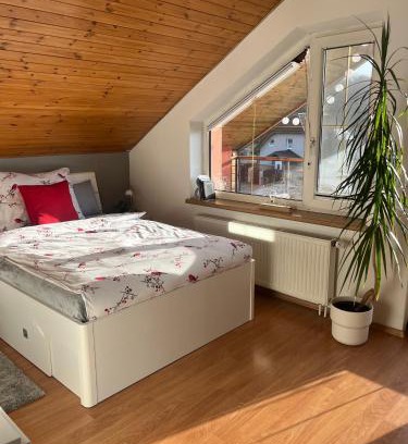 Ostrava House | Podkrovní apartmán s balkónem