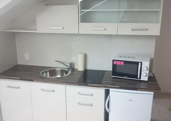 Uhersky Brod Apartment | podkrvnī byt pro dva s kuchyňou