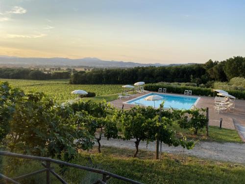 Torgiano House | Poggio alle Vigne
