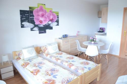 Myczkow House | Pokoje nad Soliną 695-533-767