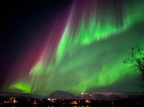 Tromso Apartment | Polar Cozy Apartment - With View and Free parking