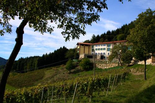 Pontida House | Polisena L'Altro Agriturismo Veg