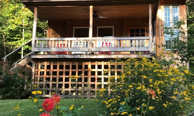 Irvine Cabin | Porch & Pines Cottage with a View