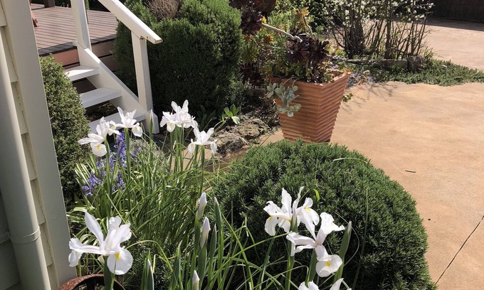 Port Campbell House | Port Campbell Guesthouse & Flash Packers