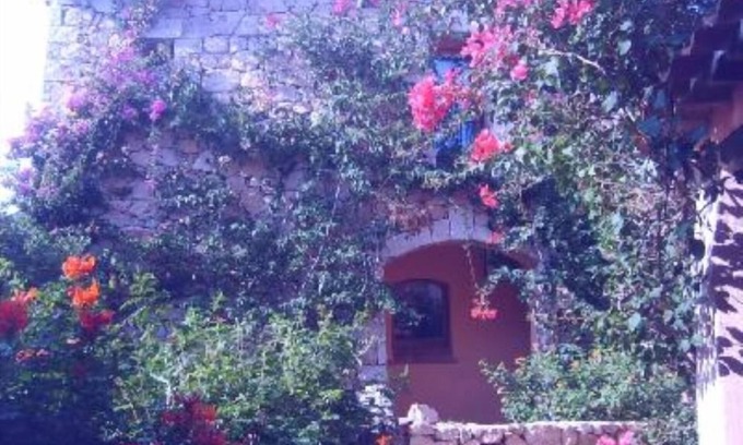 Porto Cervo Villa | PORTO CERVO: Villa with 3 bedrooms, 2 bathrooms, large terrace, condominium swimming pool