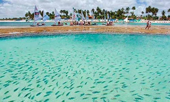 Porto de Galinhas Apartment | Porto de Galinhas - Furnished apartment - 03 qts - 50mts from the beach