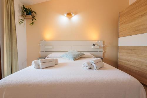 Terralba Apartment | Pothos Apartment