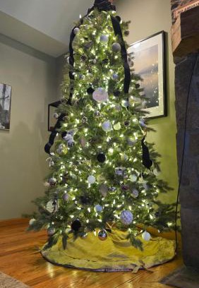 McHenry House | Powder N Wakes