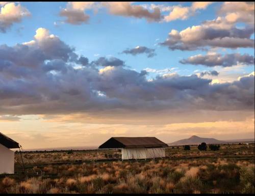 Valle Other | Prairie Falcon 2