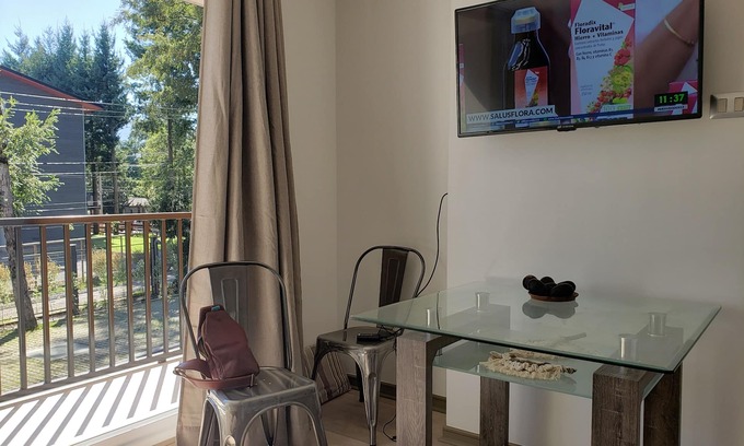 Pucon Apartment | Precioso Depto Estudio Camino al Volcán