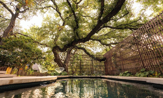 Barton Heights House | Preservation Austin Home, restored to Midcentury Gloryn