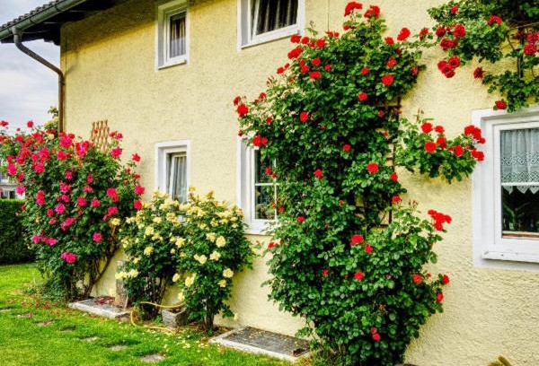 Prien am Chiemsee Apartment | Prestige-Apartment-Chiemsee