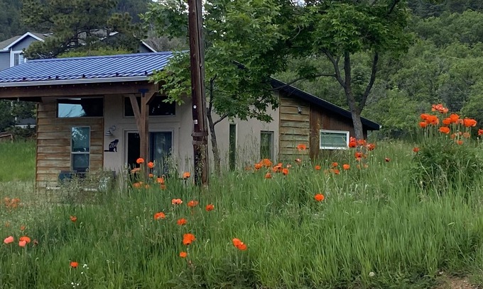 Palmer Lake House | Pristine New Modern Bungalow At the Base of The National Forest; 1 Acre of land