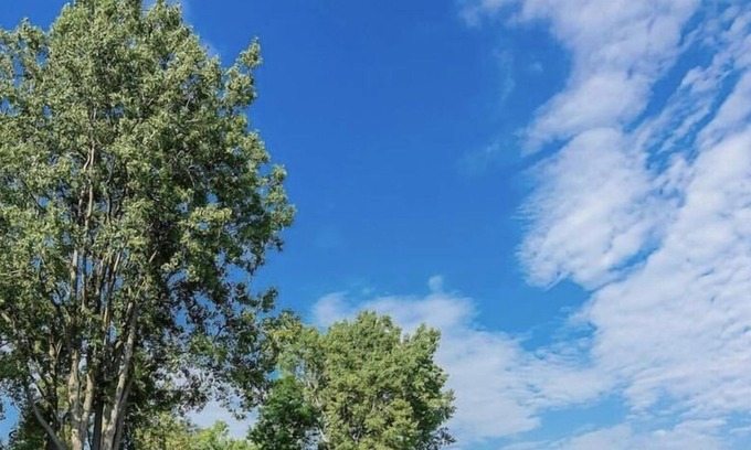 Waupoos Resort | Private 30 Acre Compound With Sandy Beach In Heart of Prince Edward County