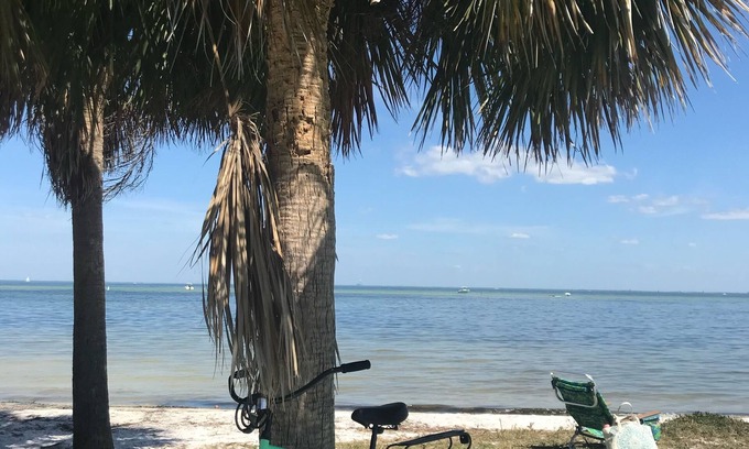 Old Southeast House | Private Cottage & Courtyard, 4 min drive to St Pete, Walk to Bay, 6 mi to Beach