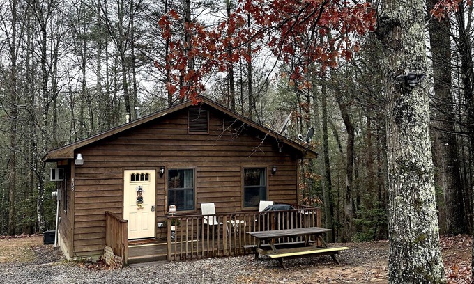 Unaka Cabin | Private cozy cabin in the woods with great view!