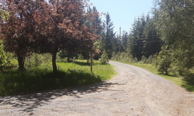 Courtenay House | Private Guesthouse on 74 Acres of Forest