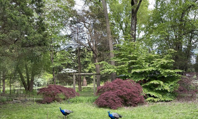 Morrow House | Private lake house garden resort