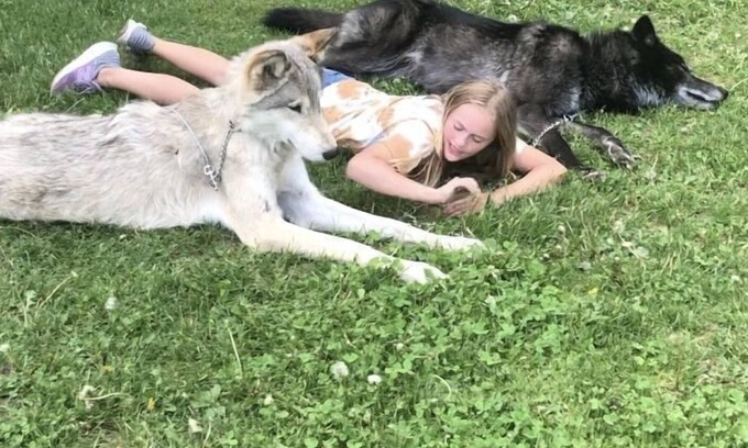 Elkhart Lake Cabin | Private lower level house with a kitchen . Come and visit the 🐺🦌🦬🦢