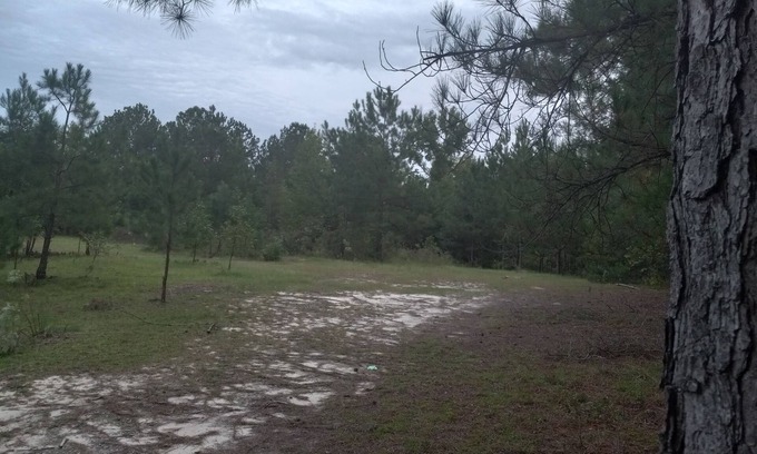 Cordova RV Rental | Private Nature Oriented Campground