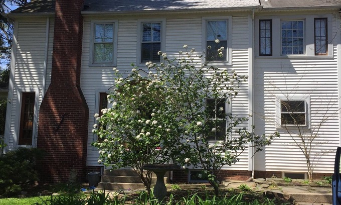 Brookmont House | Private Retreat Minutes from Downtown DC and Surrounded by Trails