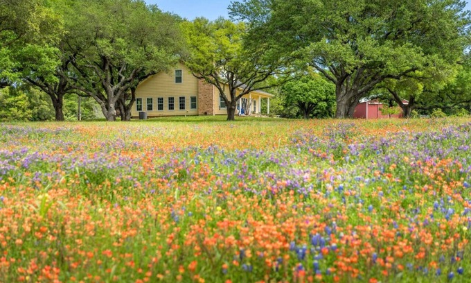 Wellborn House | Private Retreat on 50 Acres of Countryside Bliss!