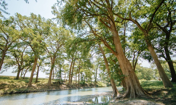 Comfort House | Private River Access on Seven Acres