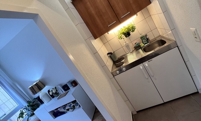 Downtown Geneva Apartment | Private Stylish Studio City Centre Paquis