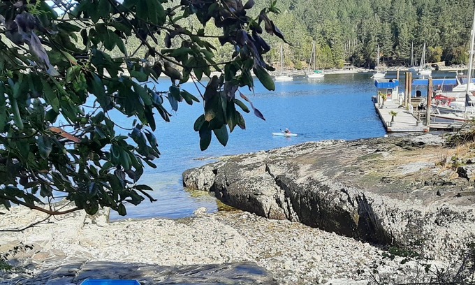 Maple Bay Apartment | Private suite tucked between a peaceful mountain forest and a tranquil ocean bay