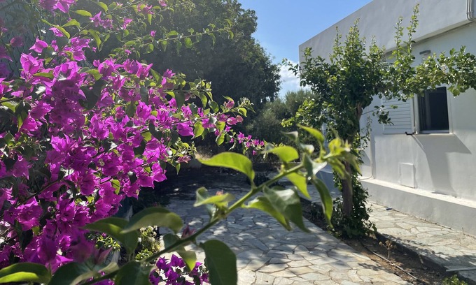 Limenas Chersonisou Villa | Private villa surrounded by olives -5 min walk from downtown/beach