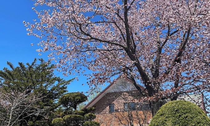 Kushiro House | Private villa with large garden BBQ with your pet /Kushiro Hokkaidō