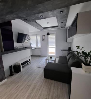Orunia Gorna Apartment | Przytulny 2-pokojowy apartament na wakacje w Gdańsku