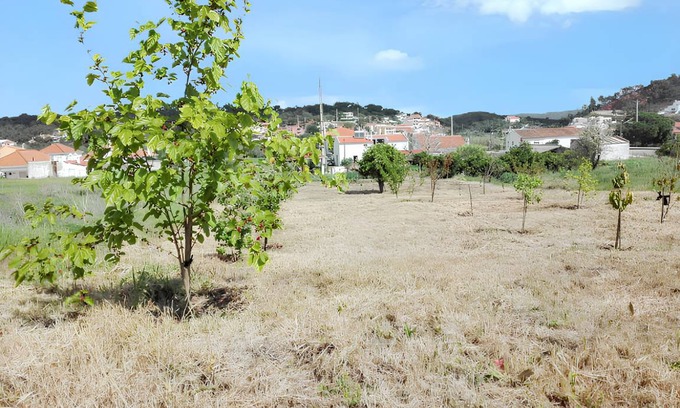 Sao Bartolomeu de Messines House | 149 m² House ∙ 3 bedrooms ∙ 6 guests