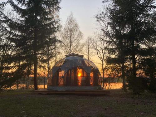 Klykiai Other | Pušų gaudyklė