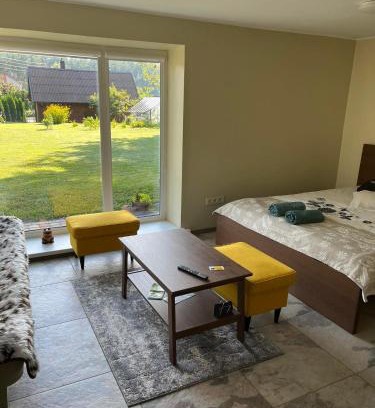Anyksciai Apartment | Pušynas1